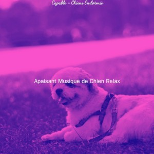 Apaisant Musique de Chien Relax
