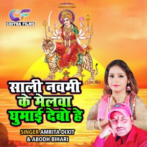 Amrit Dixit