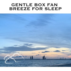 Box Fan Rest Sound
