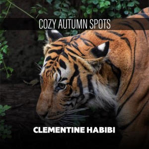 Clementine Habibi