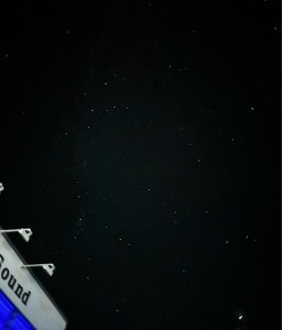 679Youngstar