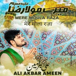 Ali Akber Ameen