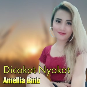 Amellia BMB