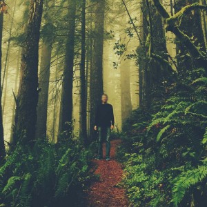 Reed Adams