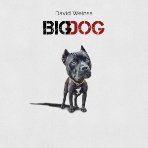 David Weinsa