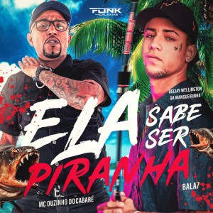 Deejay Wellington da Mangueirinha