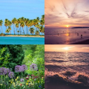 Amazing Tropical Christmas