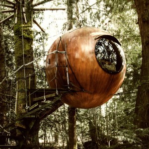 Ben's Treehouse