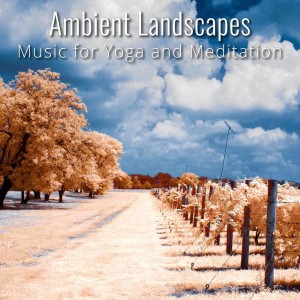 Ambient Landscapes
