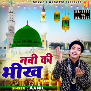 Aamil