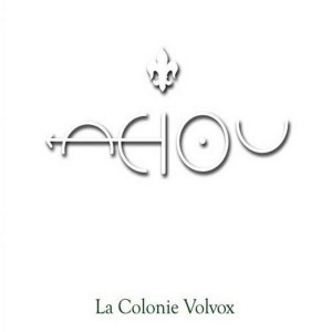 La Colonie Volvox