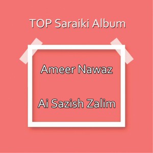 Ameer Nawaz