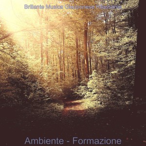 Brillante Musica Giapponese Rilassante