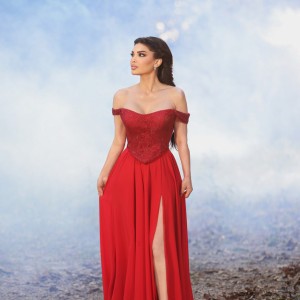 Dina Hayek