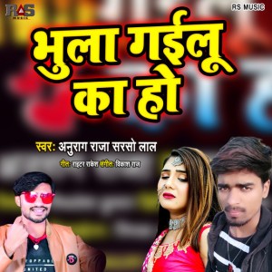 Anurag Raja