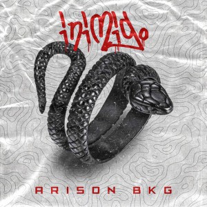Arison Bkg