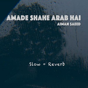Aiman Saeed