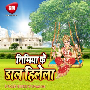 Binod Vishwashi