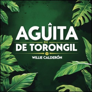 Willie Calderon