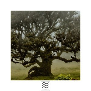 Ambient Calm Music