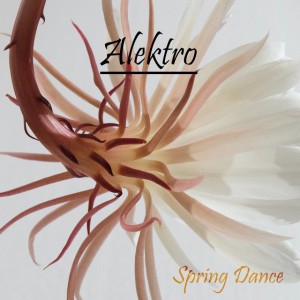 Alektro