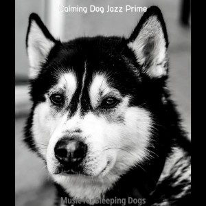 Calming Dog Jazz Prime