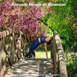 Animado Musica de Bienestar