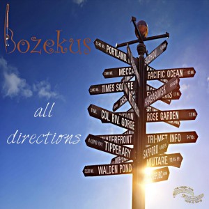 Bozekus