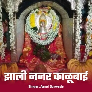 Amol Sarwade