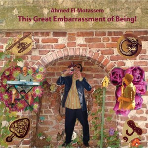Ahmed Elmotassem