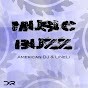 American DJ and LiNeLi