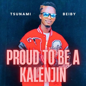 Tsunami Beiby