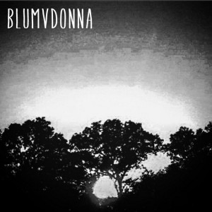 Blumvdonna