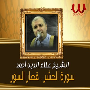 Al Sheikh Alaa Al Den Ahmed