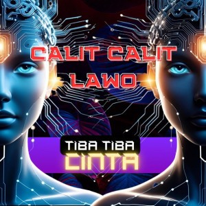 Calit calit lawo
