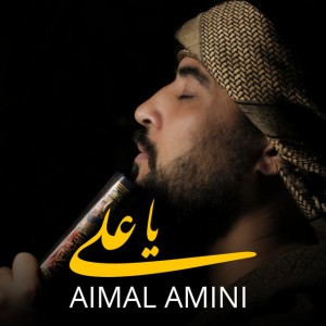 Aimal Amini