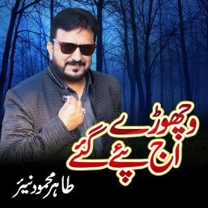 Ali Haider Tipu