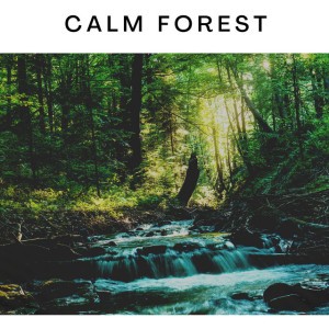 Tropical Forest