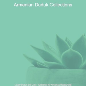 Armenian Duduk Collections