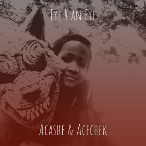 Acechek