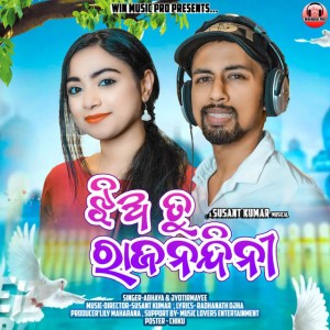 Abhaya Kumar Padhy