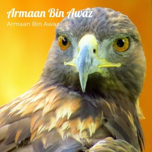 Armaan Bin Awaz