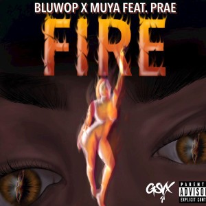 Bluwop