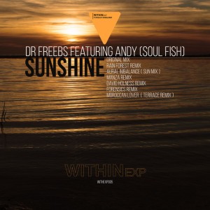 Andy (Soul Fish)