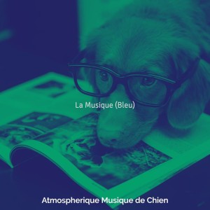 Atmospherique Musique de Chien