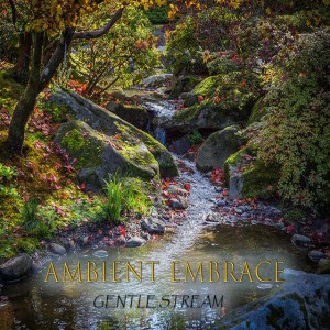 Ambient Embrace