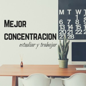 Concentrarse en la tarea