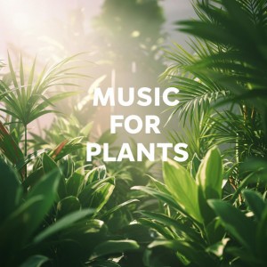 Brain Wave Music For Plants