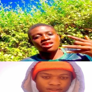C Niggars