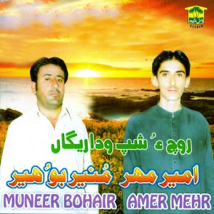 Ameer Mehr